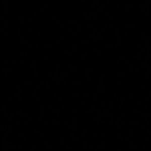 Meet your Posher, Victor